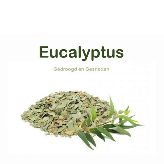 Gedroogde Eucalyptusblad 100 gram - Islamboekhandel.nl